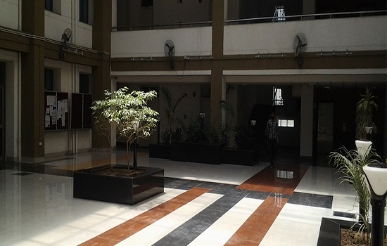 There is an image here