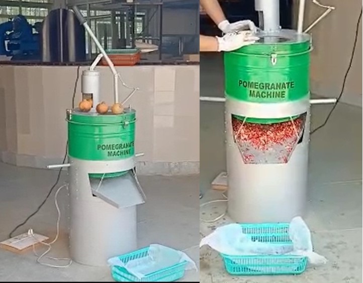 Pomegranate seed extraction machine during performance testing in the Laboratory