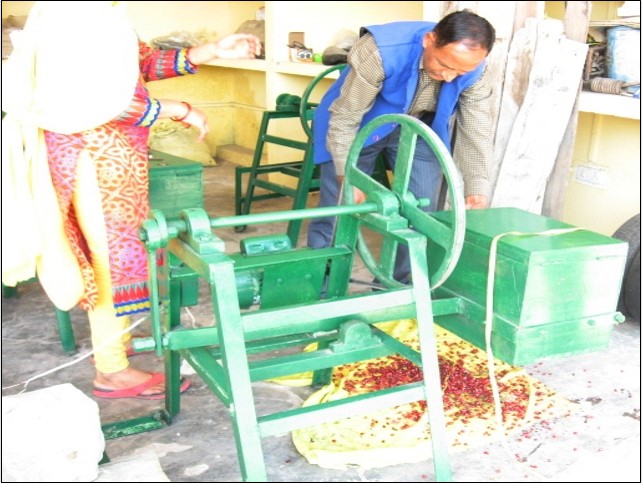 Conventional way of seed extraction
