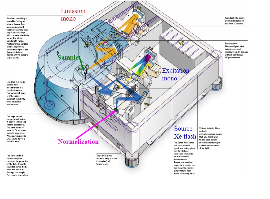 Cary Eclipse Fluorescence Spectrophotometer