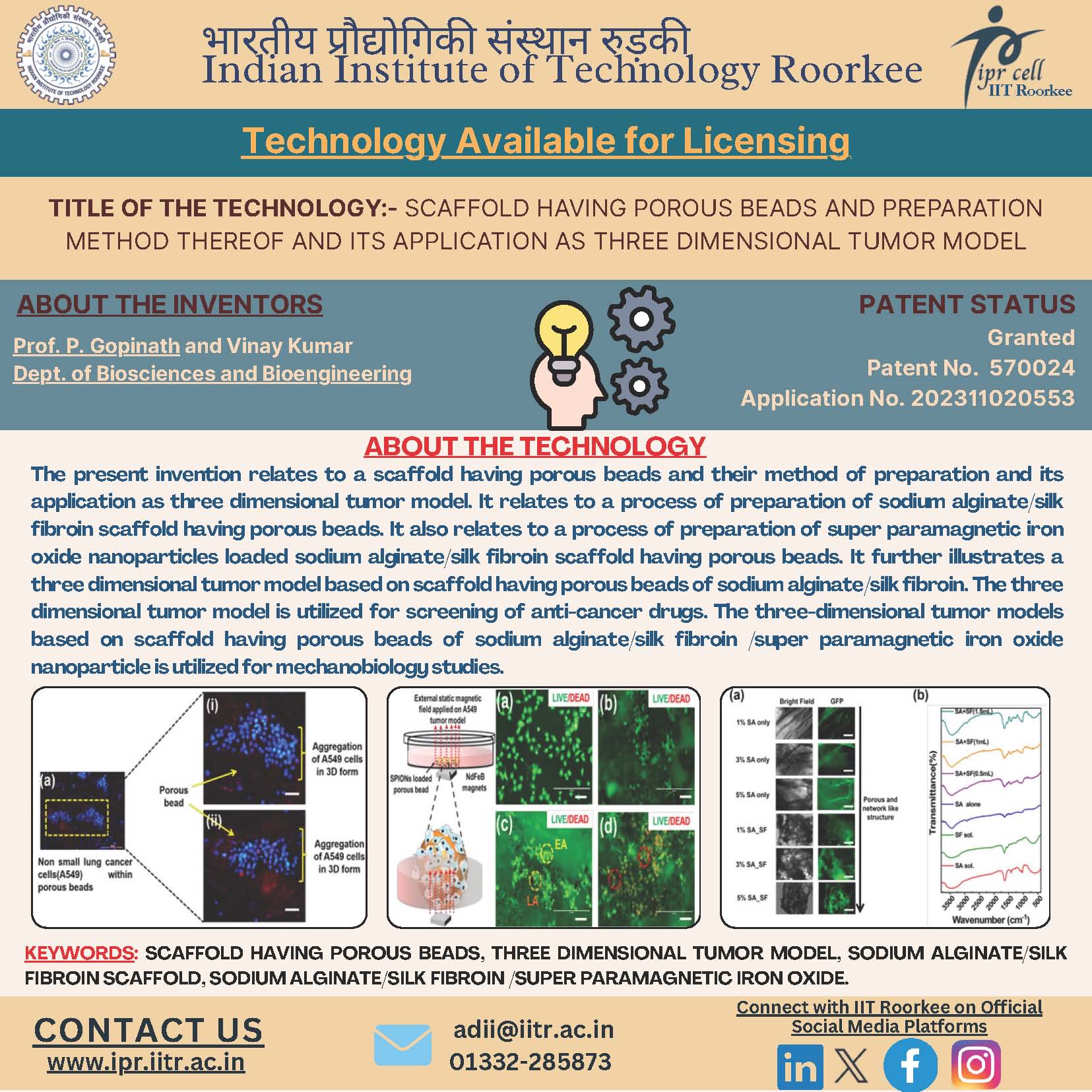 Indian Institute of Technology Roorkee