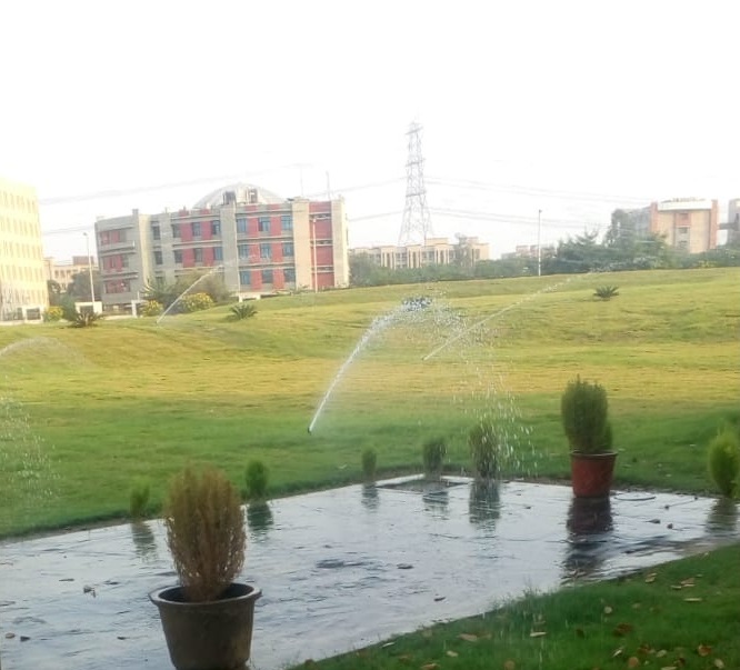 Pop up Sprinklers