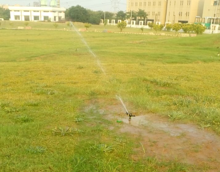 Overhead Sprinklers