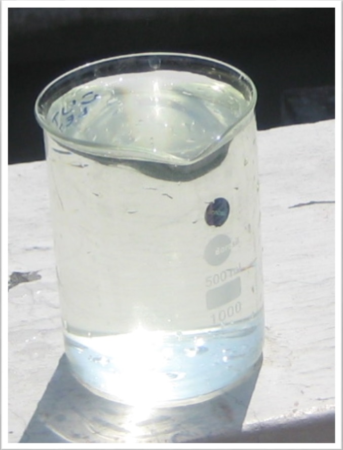 Treated Effluent