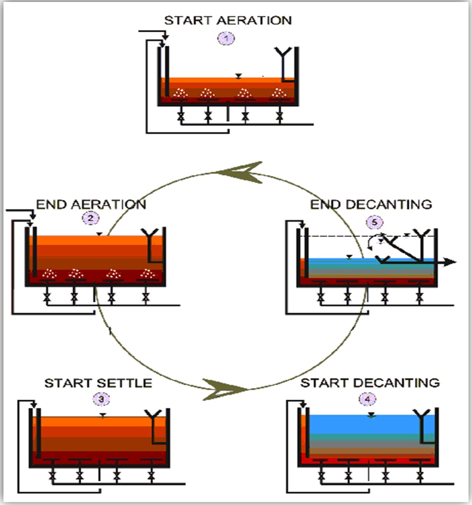 Typical SBR Cycle