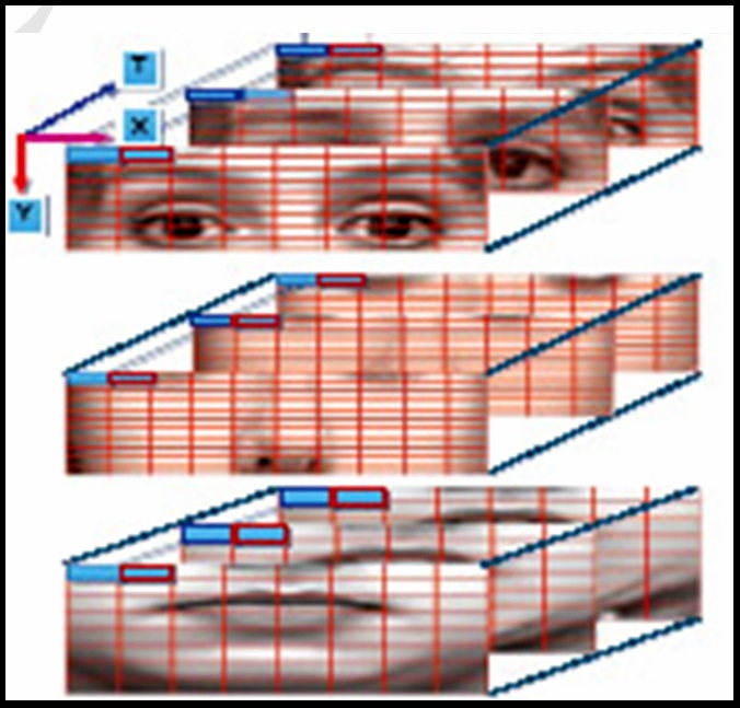 Dynamic Texture Recognition